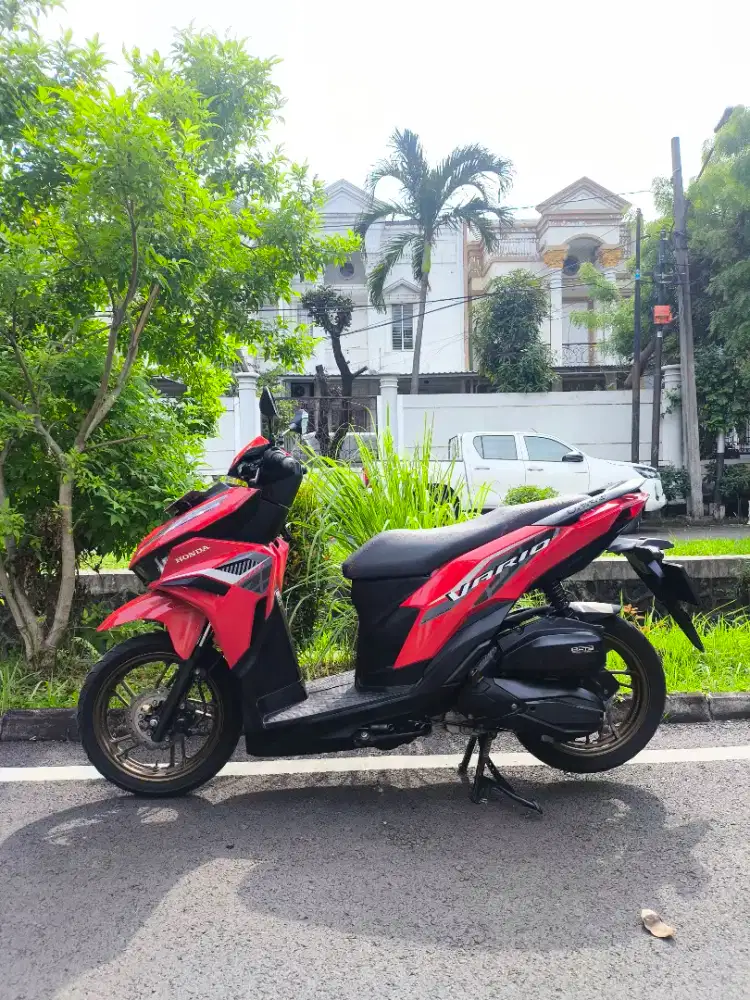 Vario 125 Gen 2 Mulus GRESS!