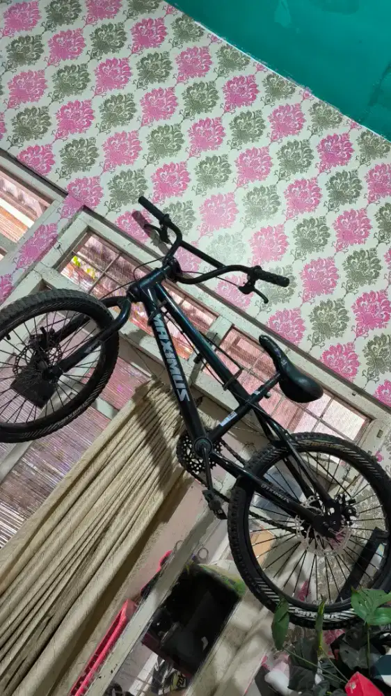 Sepeda anak Maximus