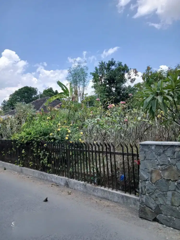 Tanah murah dekat pasar satwa Pasty Minggiran Mantrijeron Yogyakarta