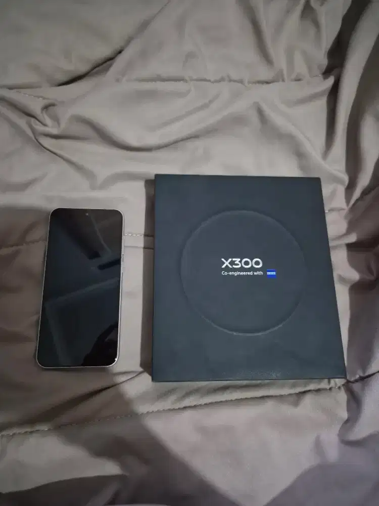 Vivo X300 12/256