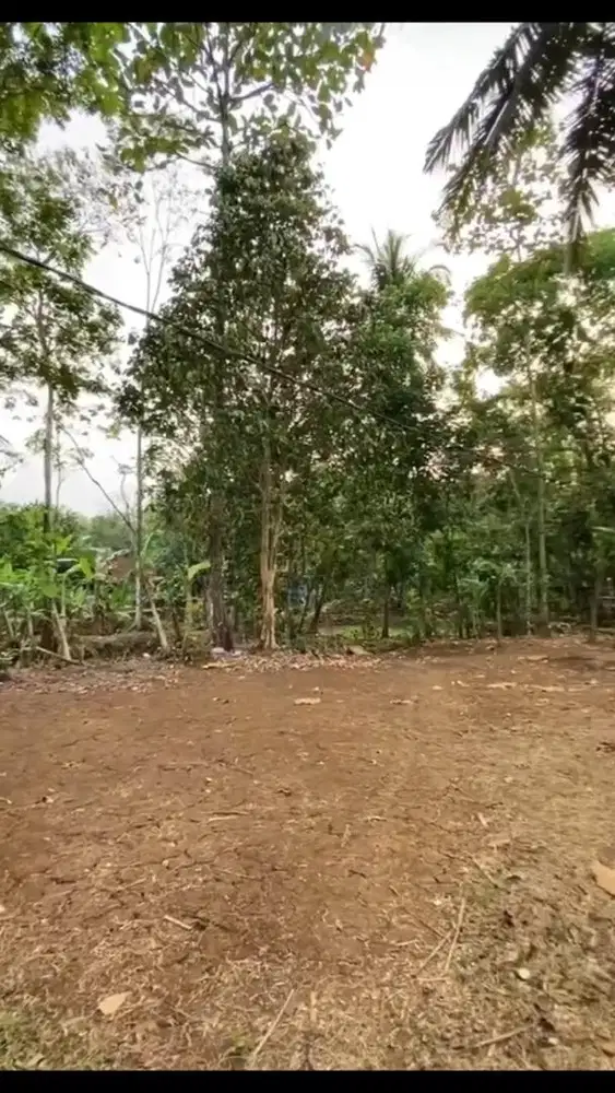 TANAH DATAR BONUS RUMAH