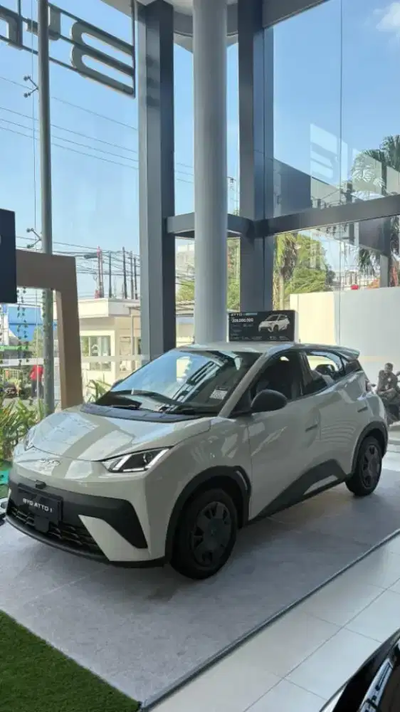 BYD ATTO 1 premium standard dynamic