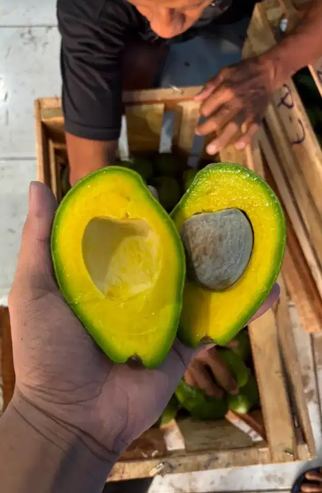 Buah Alpukat dan Mangga