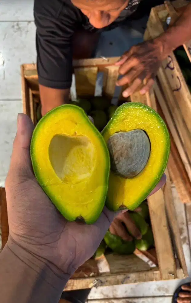 Buah mangga dan alpukat