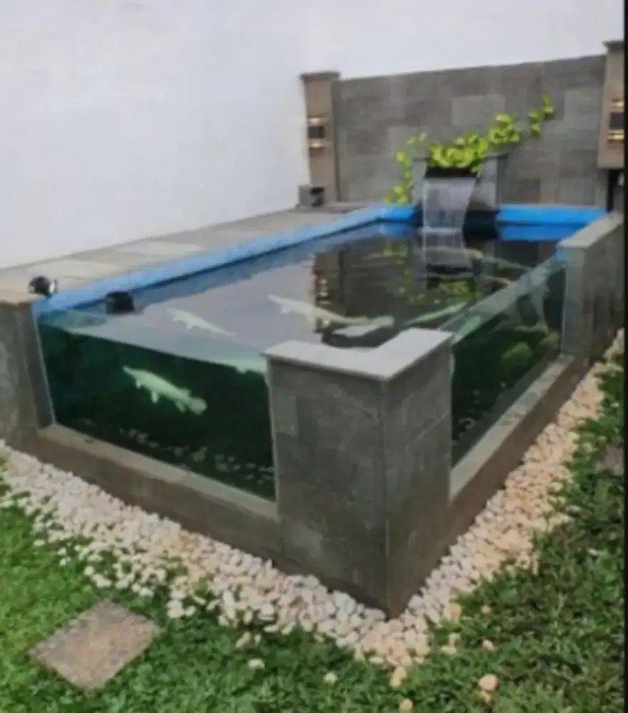 Kolam ikan koi dan filter