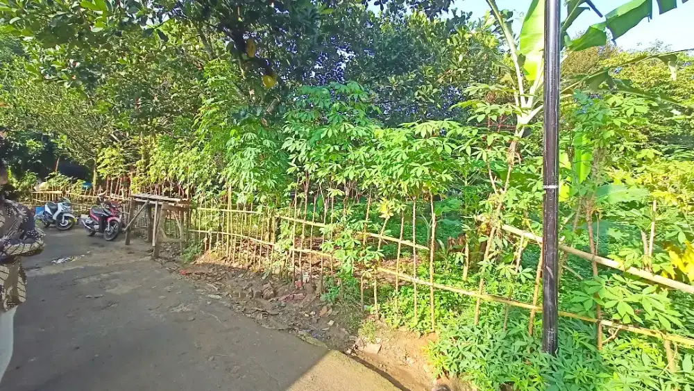 Dijual BU tanah darat/kebon