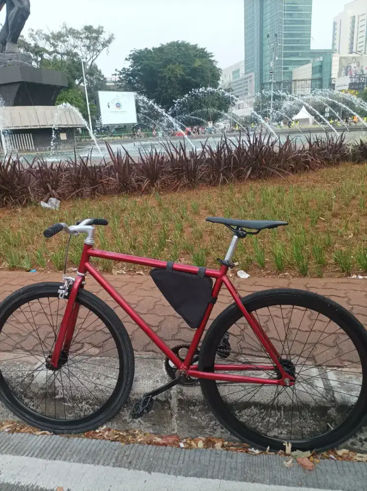 Fixie doltrap ban depan belakang baru