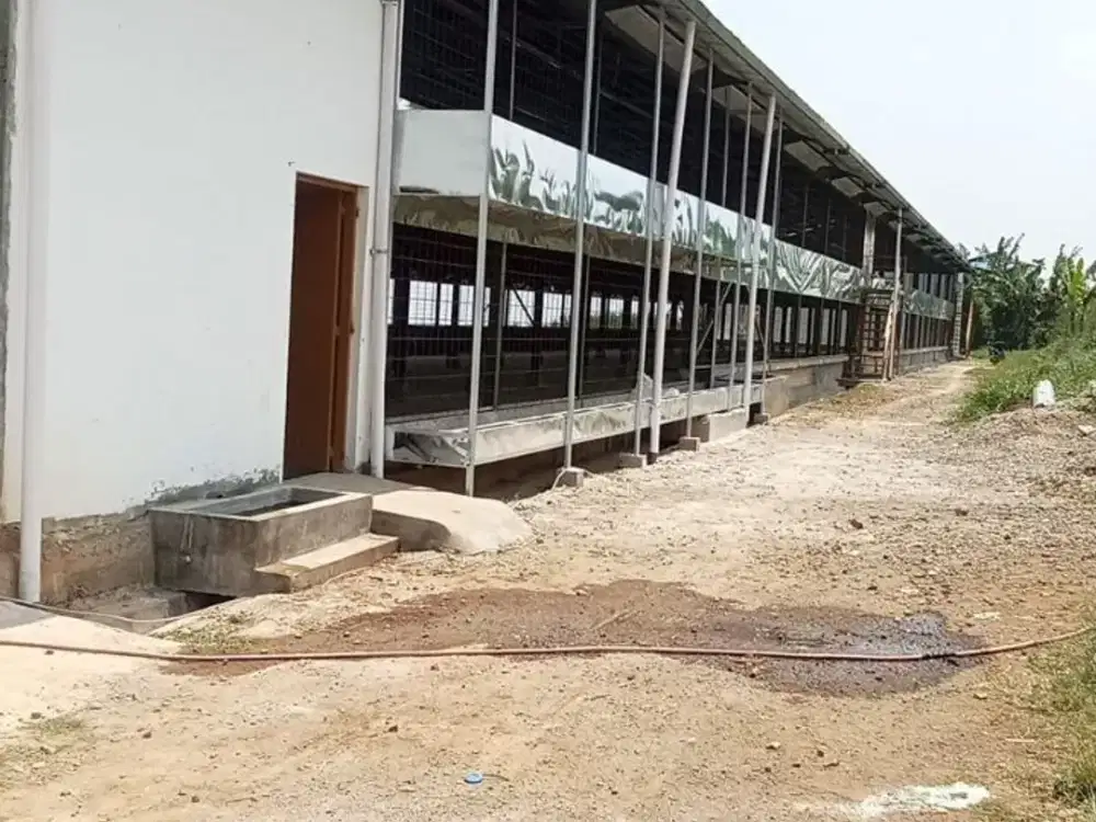 Lahan & kandang ayam area Ngamprah Kabupaten Bandung Barat