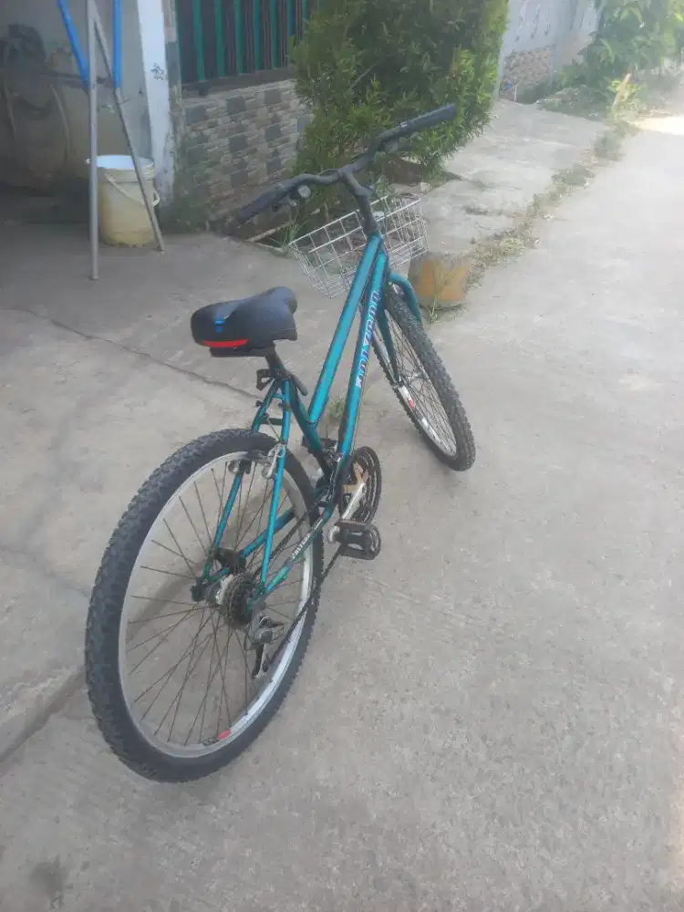 Sepeda lady polygon jadul