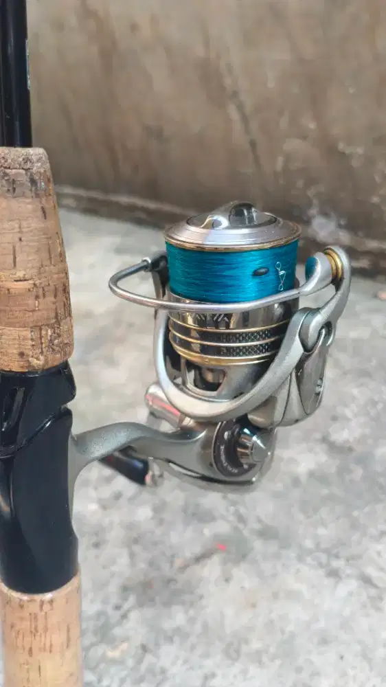 Reel Daiwa Luvias + shimano scorpion custom