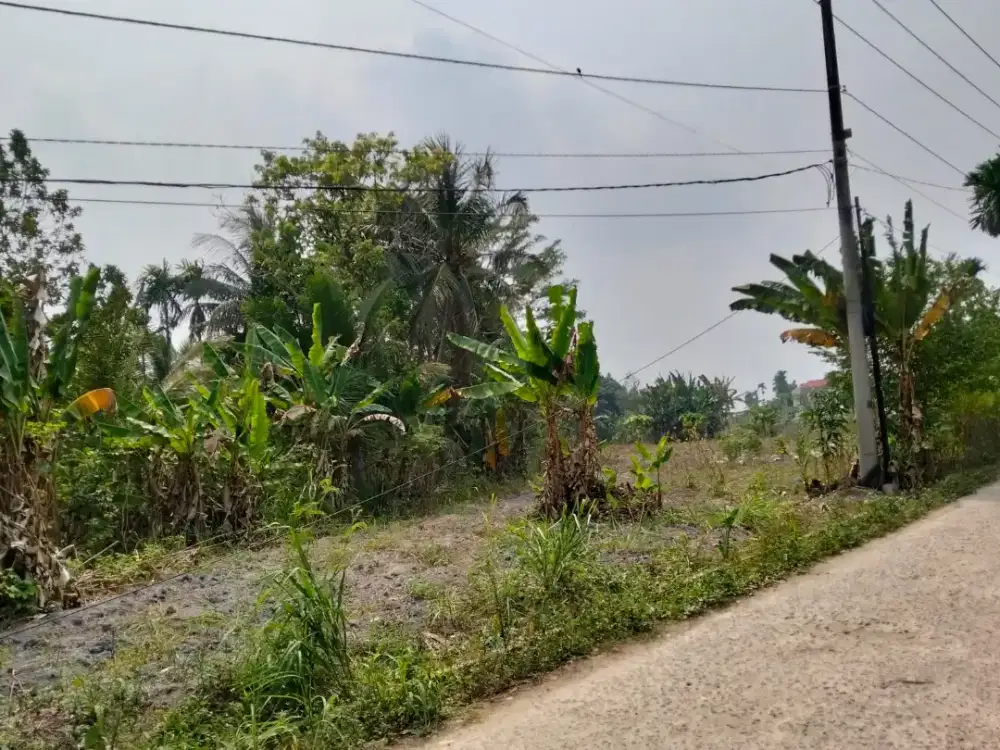 Dijual Tanah di Jambi (Kasang Lopak Alay dan Kebun Bohok).