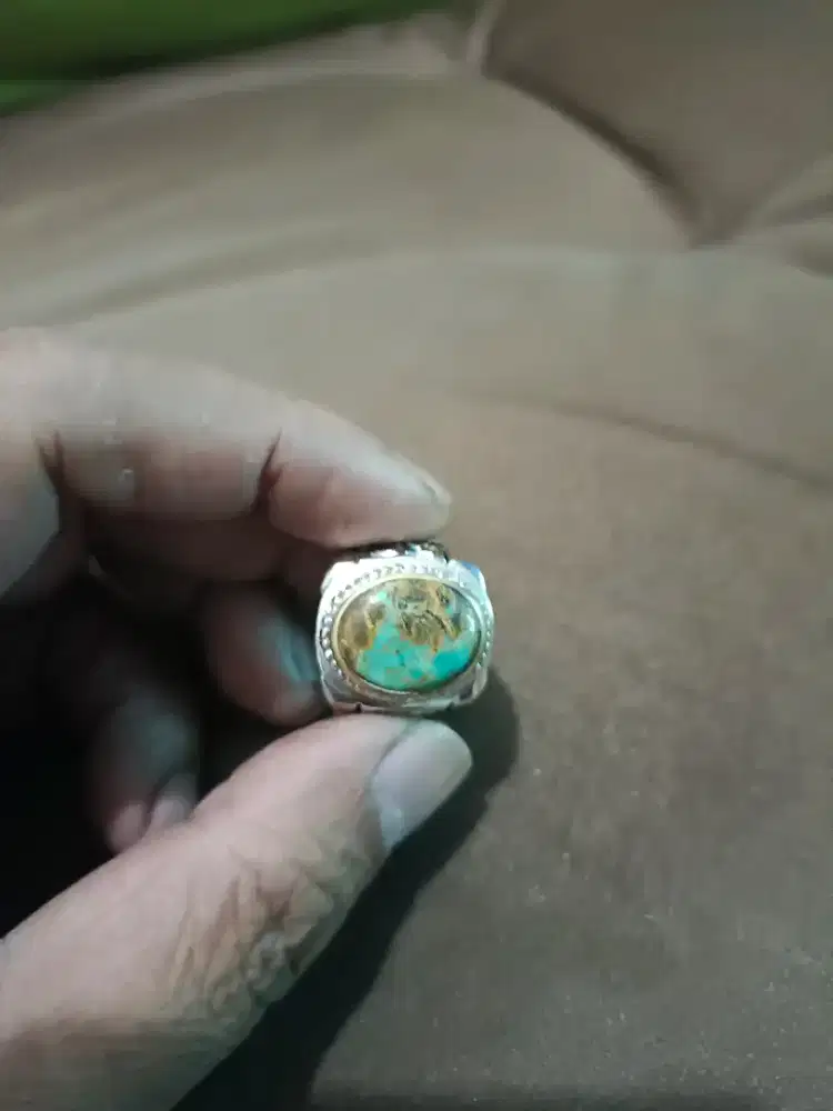 Pirus persia urat emas
