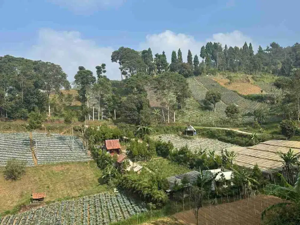 DIJUAL MURAH BANGET TANAH DEKAT ALUN ALUN LEMBANG