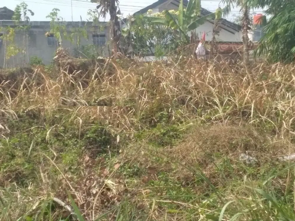Tanah Kavling Jalan Karang Arum Pasir Jati