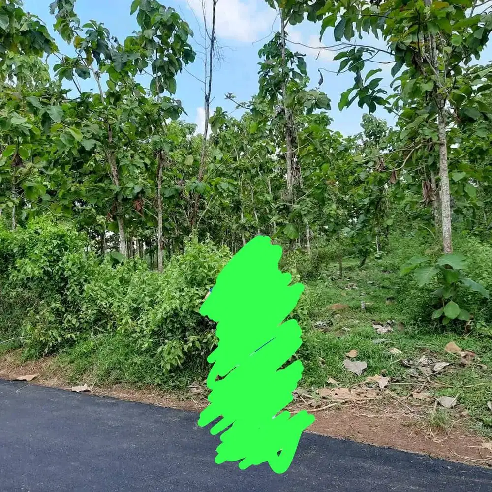 Dijual Tanah di Pati