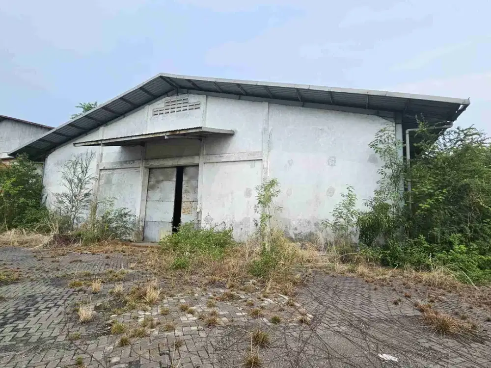 Dijual Murah Gudang Jumbo di Margomulyo Indah 1 Surabaya