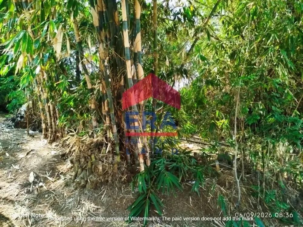Dijual Tanah di Jalan Tirtomoyo Pakis Malang