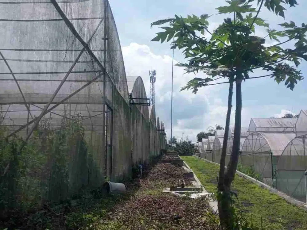 Tanah siap pakai untuk pertanian di cianjur