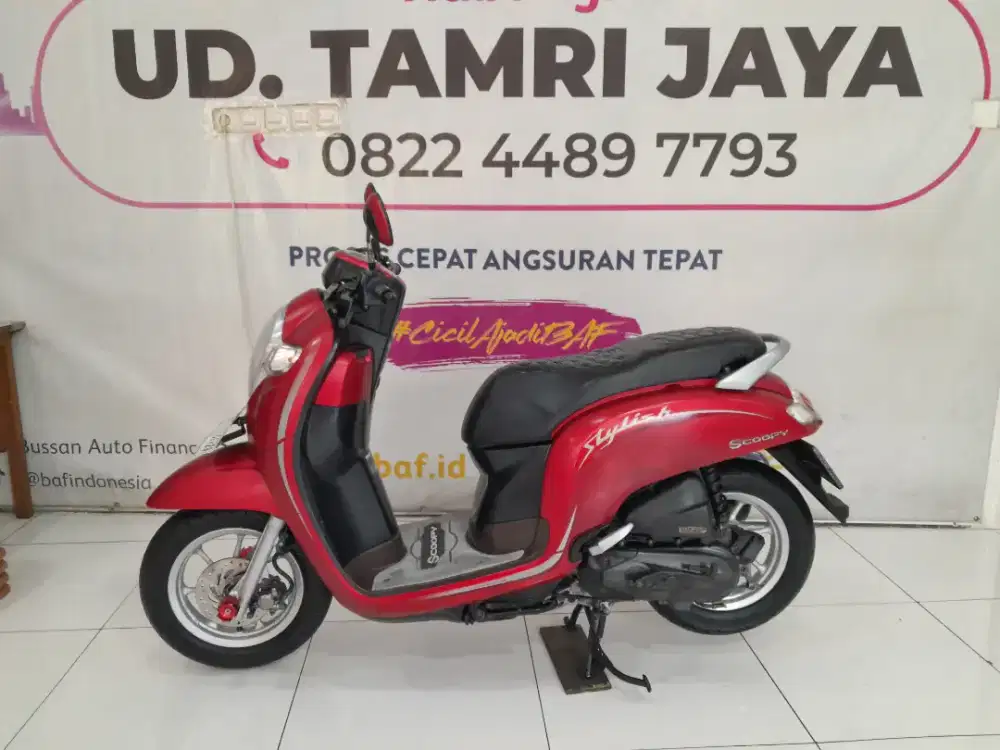 HONDA SCOOPY STYLISH 2019 LOSDOL