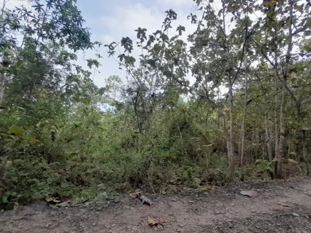 Tanah Tegalan bisa utk Bangunan atau Wisata Alam