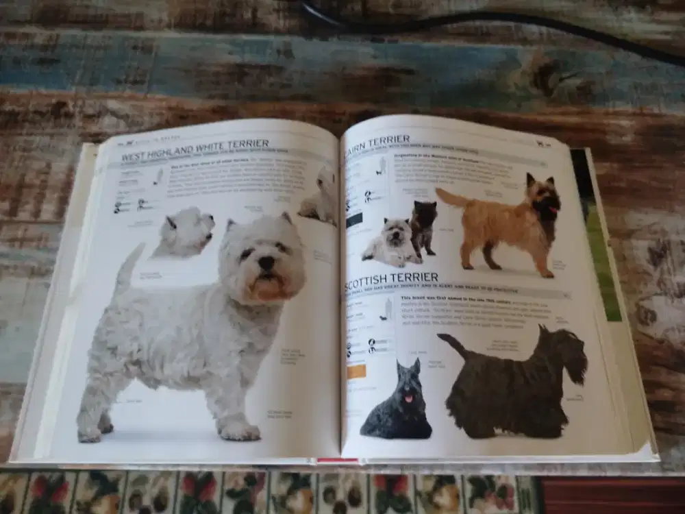 The complete dog breed book