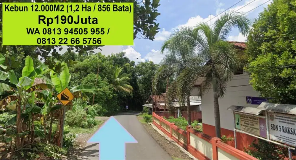 BU - Dijual KEBUN 12.000 M (856 Bata / 1,2 hektar) Rp190jt