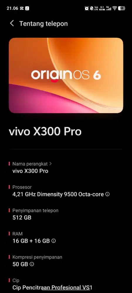 Vivo x300 pro 16/512gb