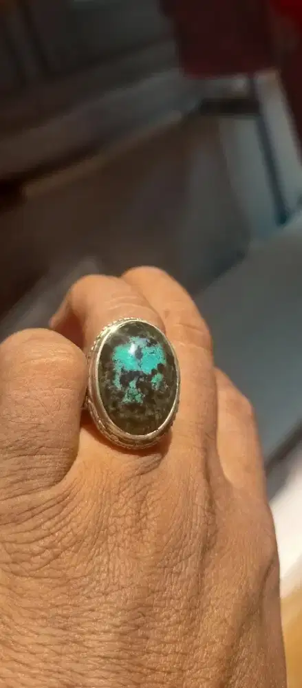 Bacan totol cokmer