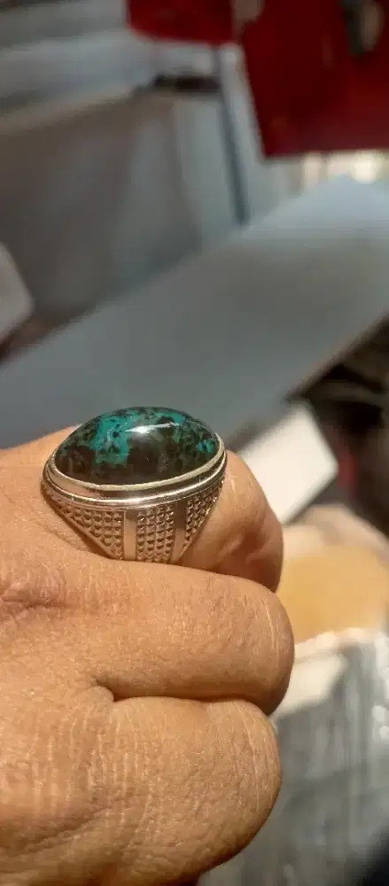 Bacan totol cokmer