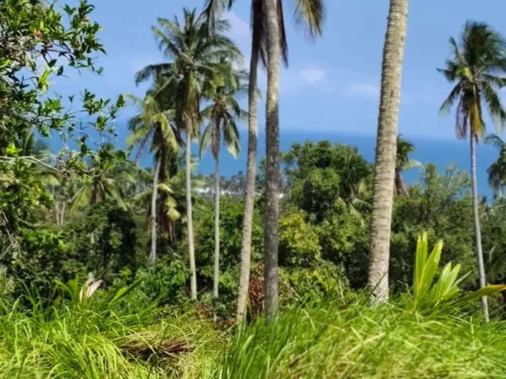DIJUAL TANAH LUAS – BALIAN BEACH, TABANAN