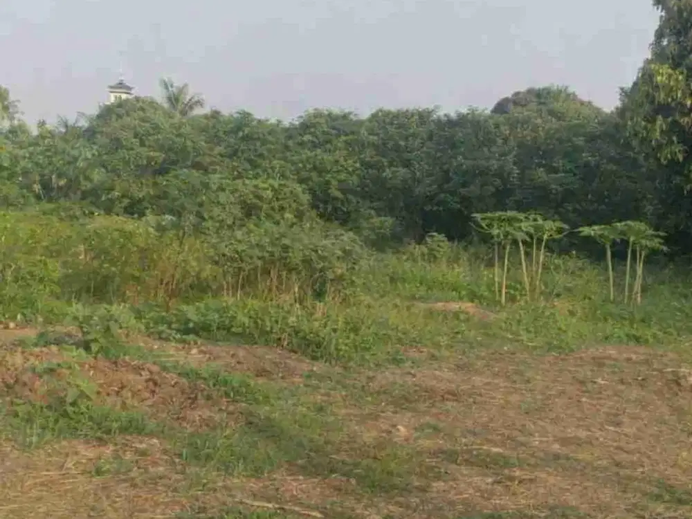 Jalan Raya Ciangsana - Bojongkulur, Gunung Putri, Kab Bogor. Tanah Kavling Dijual, Pinggir Jalan Raya