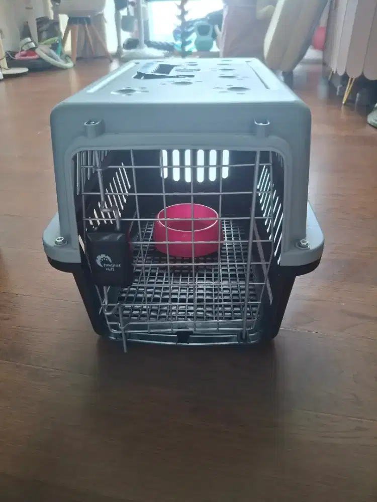 Pet kargo anjing ataw kucing