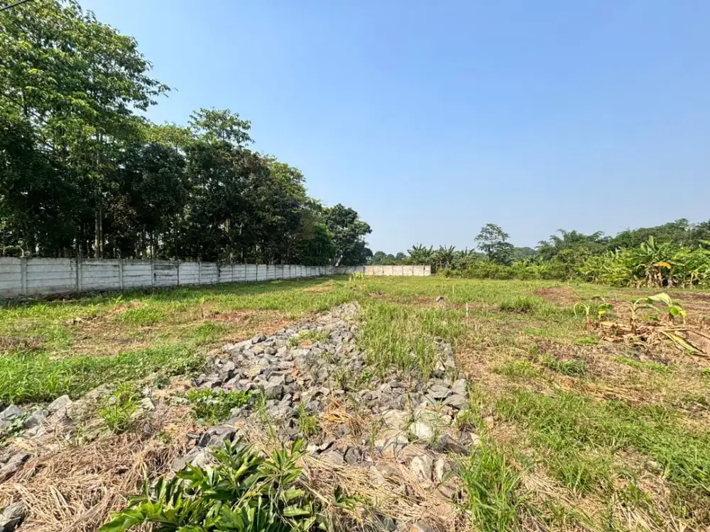 Tanah Dijual Akses Dekat Stasiun Jatake BSD, Bisa Cicilan Tanpa Bunga