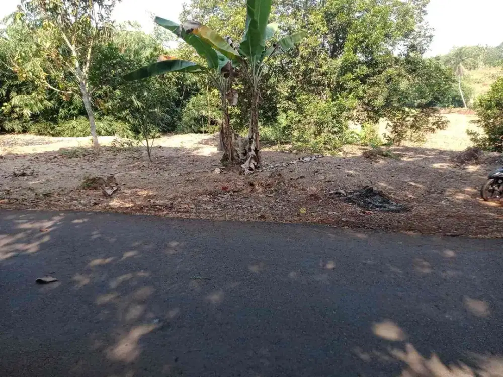 Dijual tanah di kalijati subang pinggir jalan 20 menit dari exit tol kalijati ada pohon durian,rambutan,campedak
