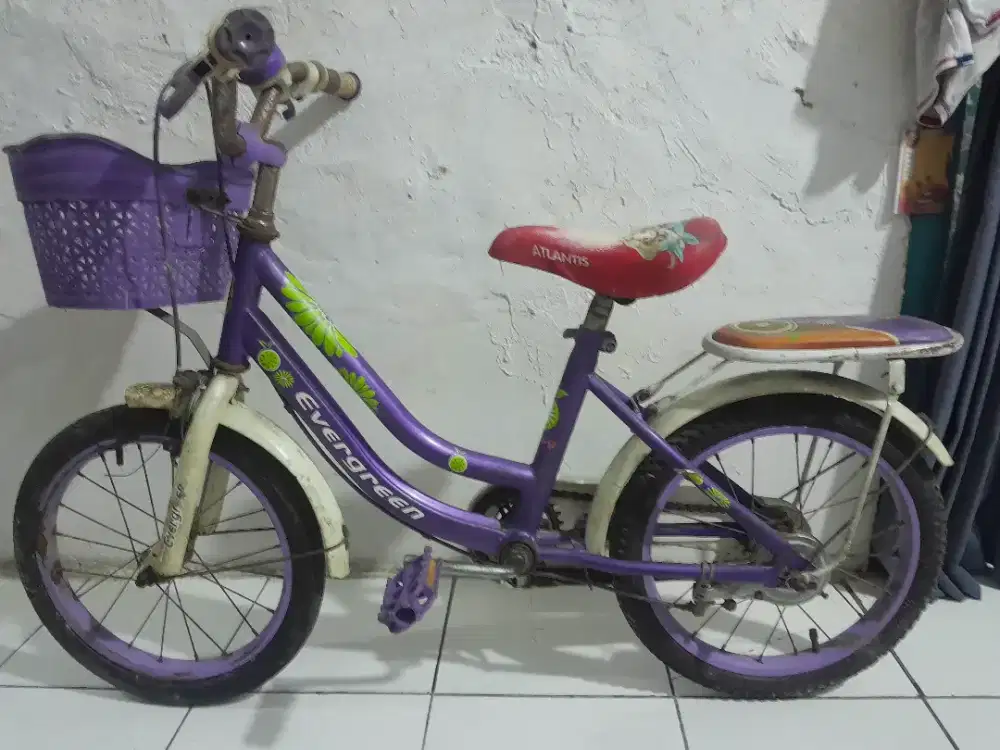 Sepeda anak evergreen uk 16