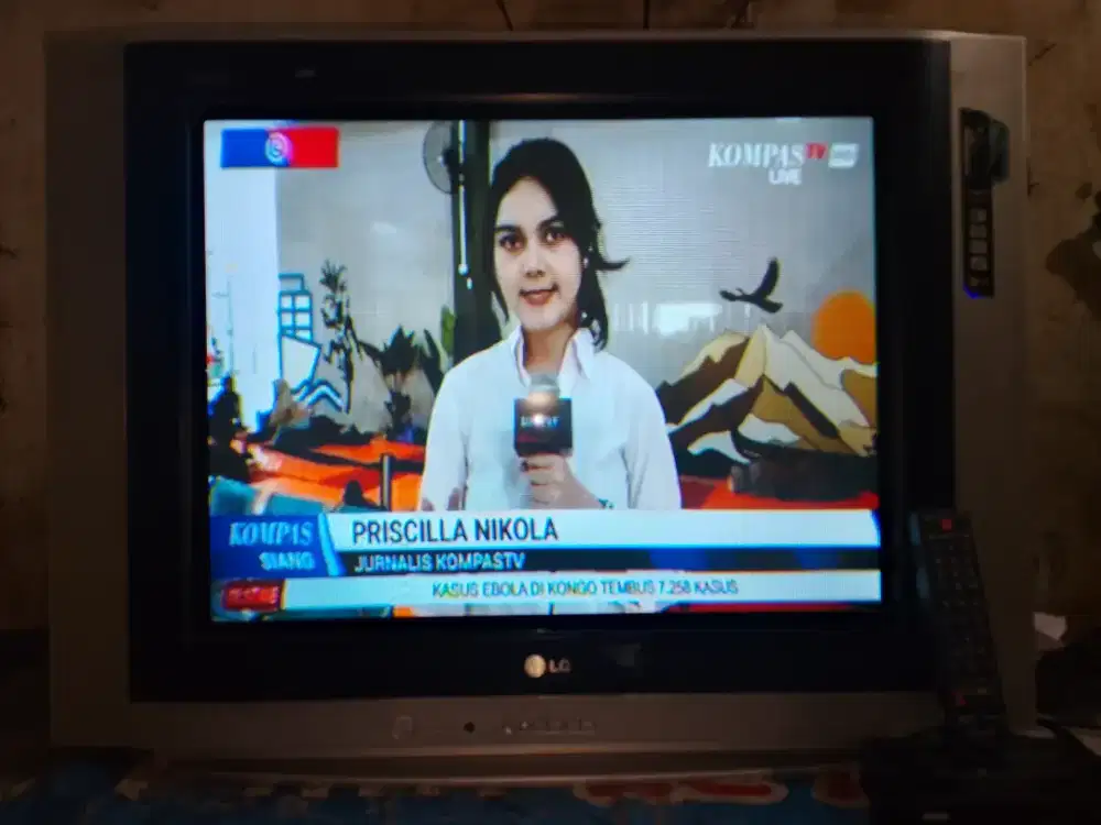 TV 29 LG SLIM & STB