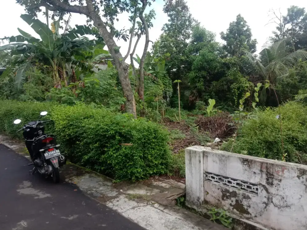 Di Jual Tanah, SHM, Tanpa Perantara