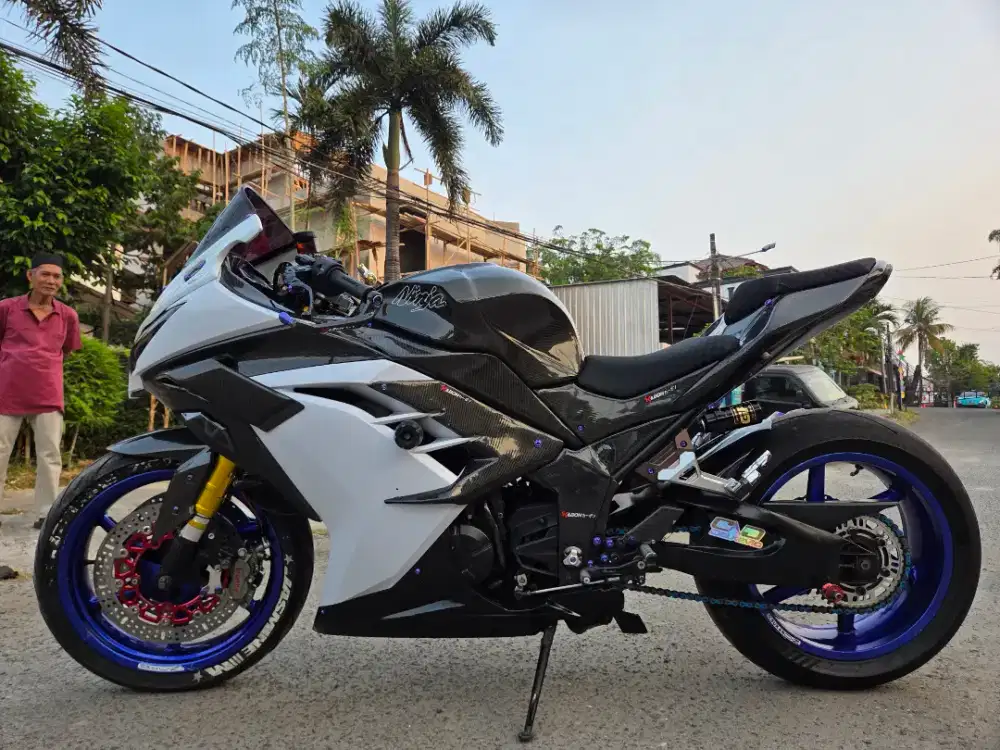 Kawasaki ninja 250 tahun 2013
