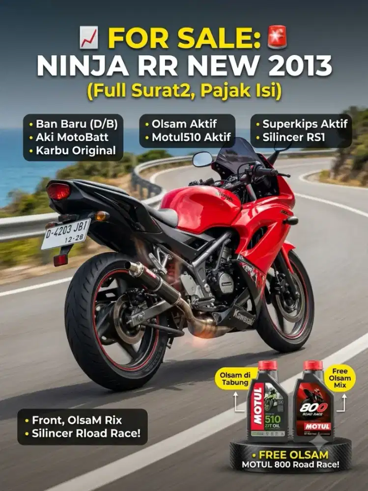 Ninja RR new 2013