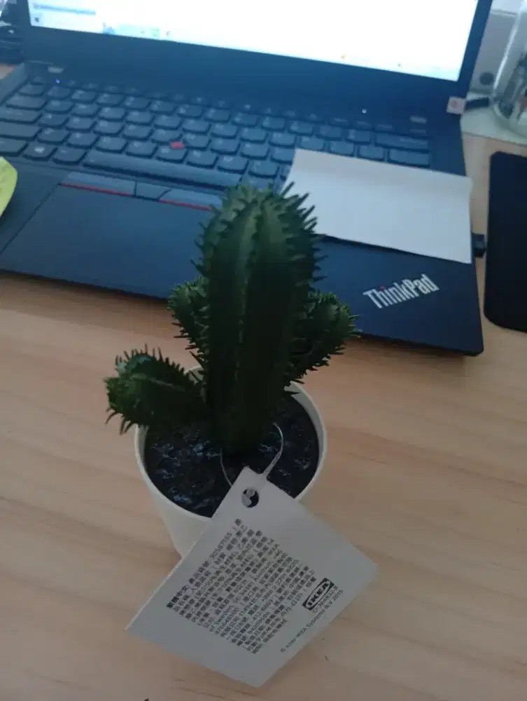 Kaktus palsu pajangan meja kntor