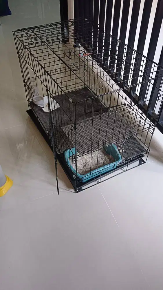 Jual Kandang Kucing second