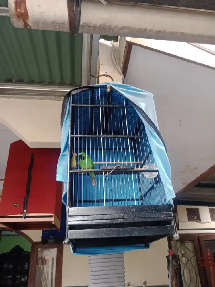 sangkar dan isi nya Jawa timur