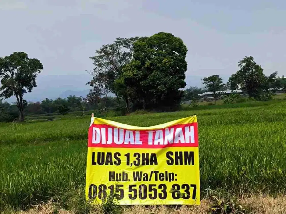 Dijual Cepat Tanah Luas 1,3 Hektar SHM Lokasi Strategis Akses Jalan Lebar di Pasuruan Sukodermo Bisa Untuk Perumahan dan Pabrik