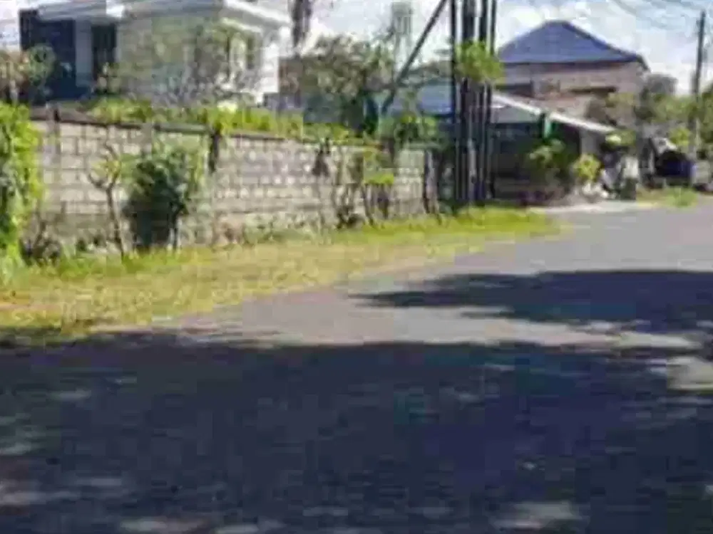 TANAH PREMIUM BADAK AGUNG 100 METER DARI JALAN UTAMA COK AGUNG TRESNA RENON SUDAH TEMBOK KELILING