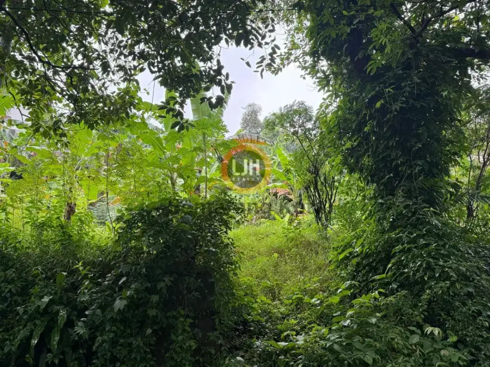 dijual tanah kavling asri dan sejuk