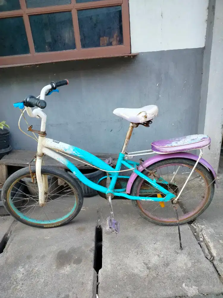 Sepeda gamily R-20 cocok utk cewek