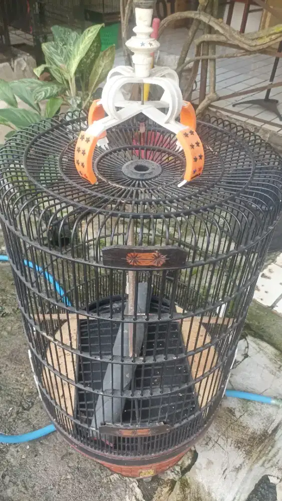 Kandang murai oriq nomor 3