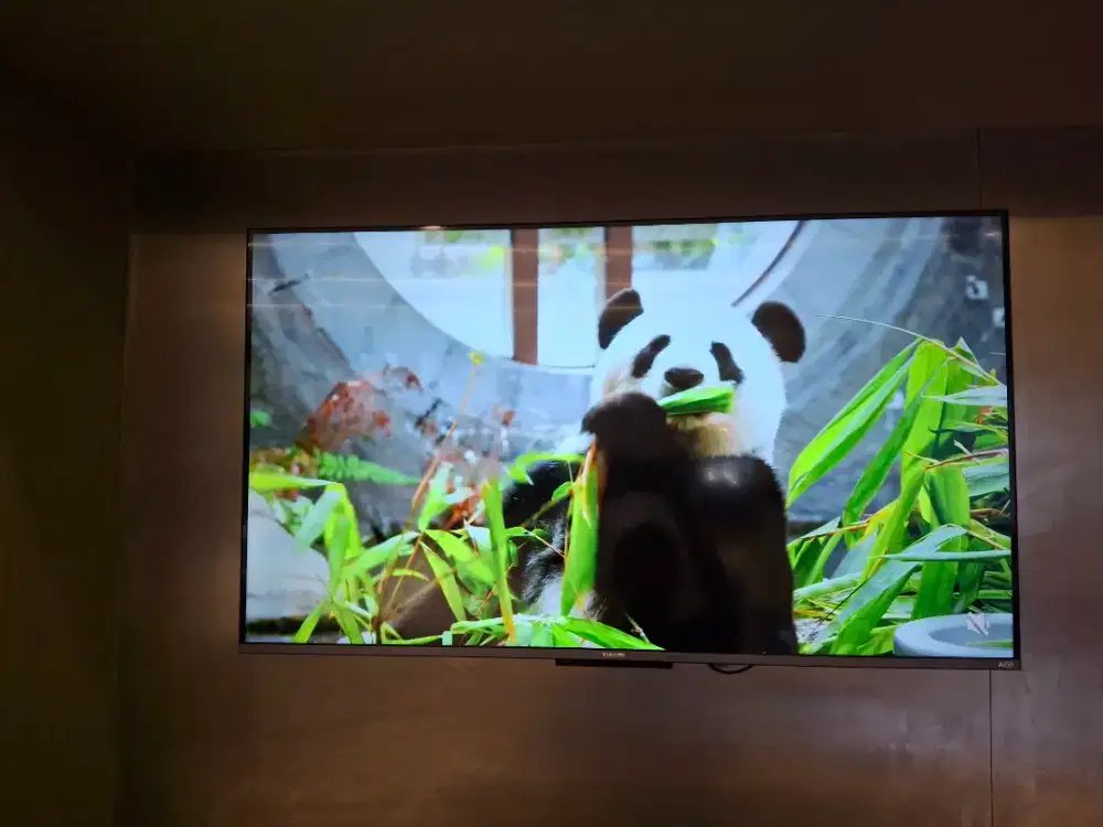 Xiaomi GTV A Pro 2026 Qled 4K