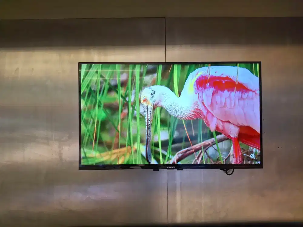 Xiaomi GTV A Pro 32 Qled