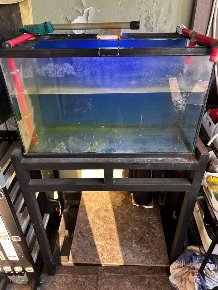 WANT TO SELL 1 SET AQUARIUM, MEJA, FILTER, LAMPU, POMPA